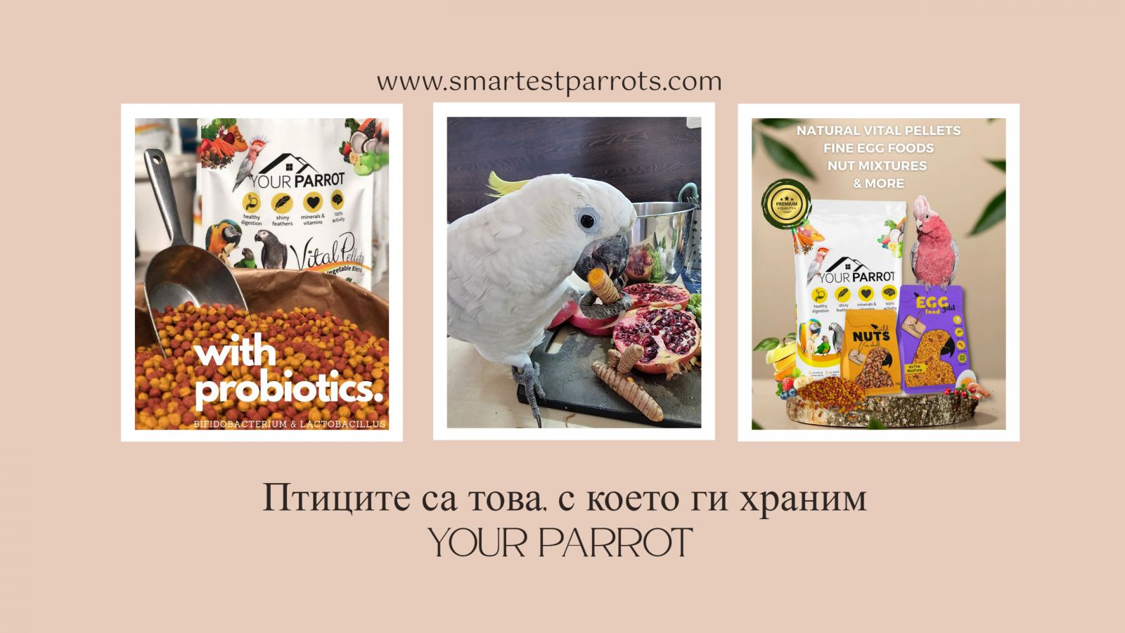 Your parrot
