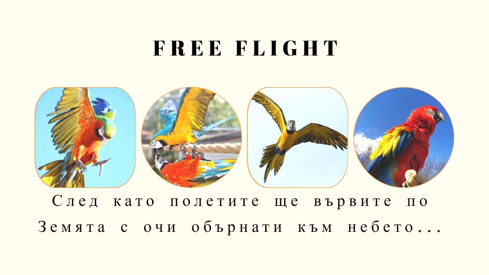 Free flight